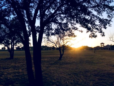 Green Grass Field During Sun Set