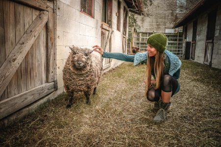 Woman Wearing Beanie Beside Sheep photo