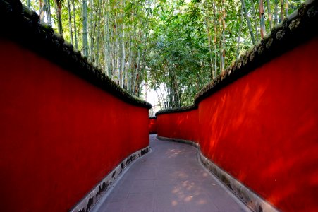 Red And Gray Pathway Near Trees photo