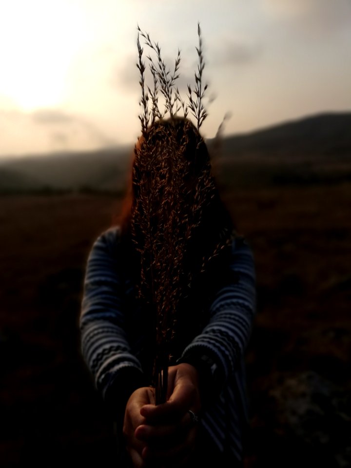 Woman Wearing Gray Long-sleeved Top Holding Brown Plant photo