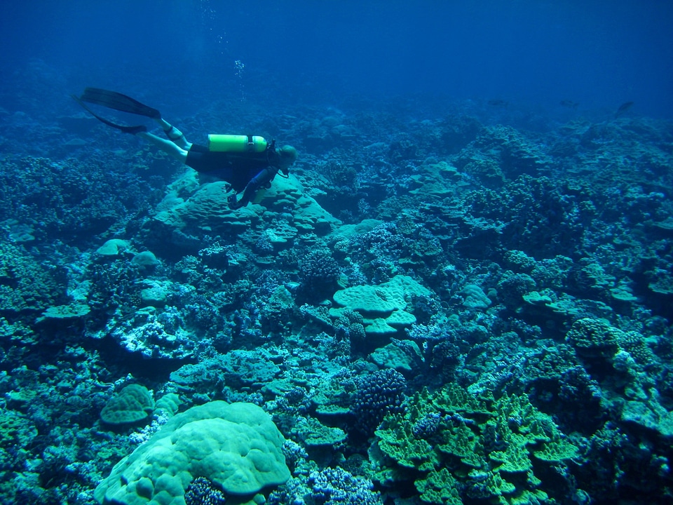 Underwater diver man