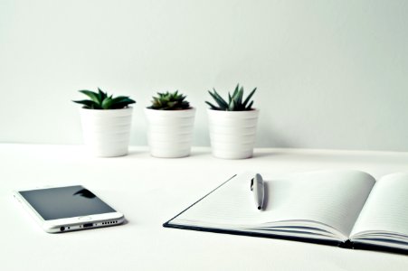Three White Ceramic Pots With Green Leaf Plants Near Open Notebook With Click Pen On Top photo