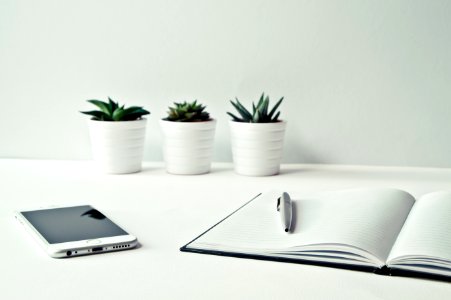 Three White Ceramic Pots With Green Leaf Plants Near Open Notebook With Click Pen On Top