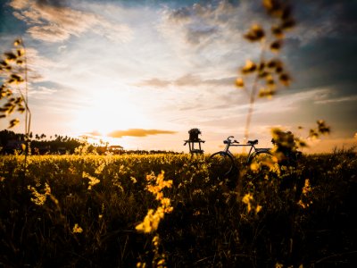 Black Dutch Bicycle Surrounded By Green Grass Field photo