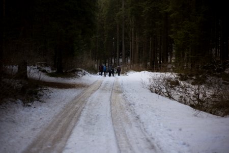 People Walking On Icy Road photo