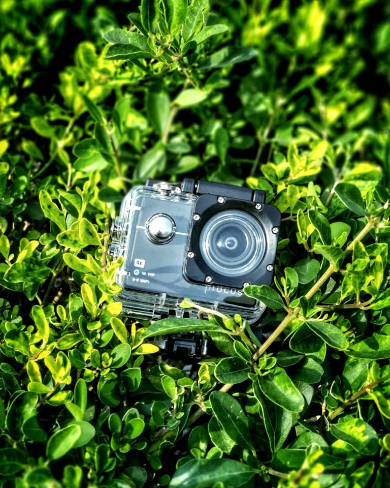 Gray And Black Action Camera On Green Leaves Plants