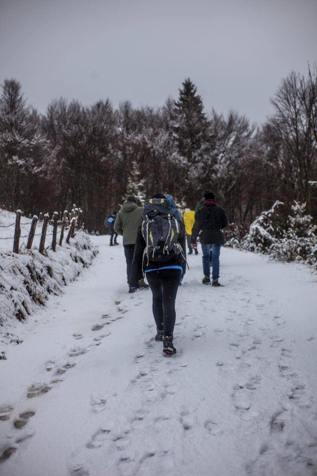 People Walking On Snowy Road During Winter