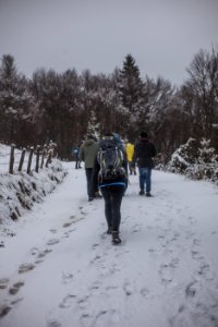 People Walking On Snowy Road During Winter photo
