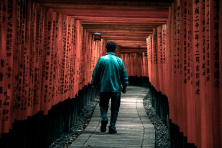 Person Walking On Arbor photo