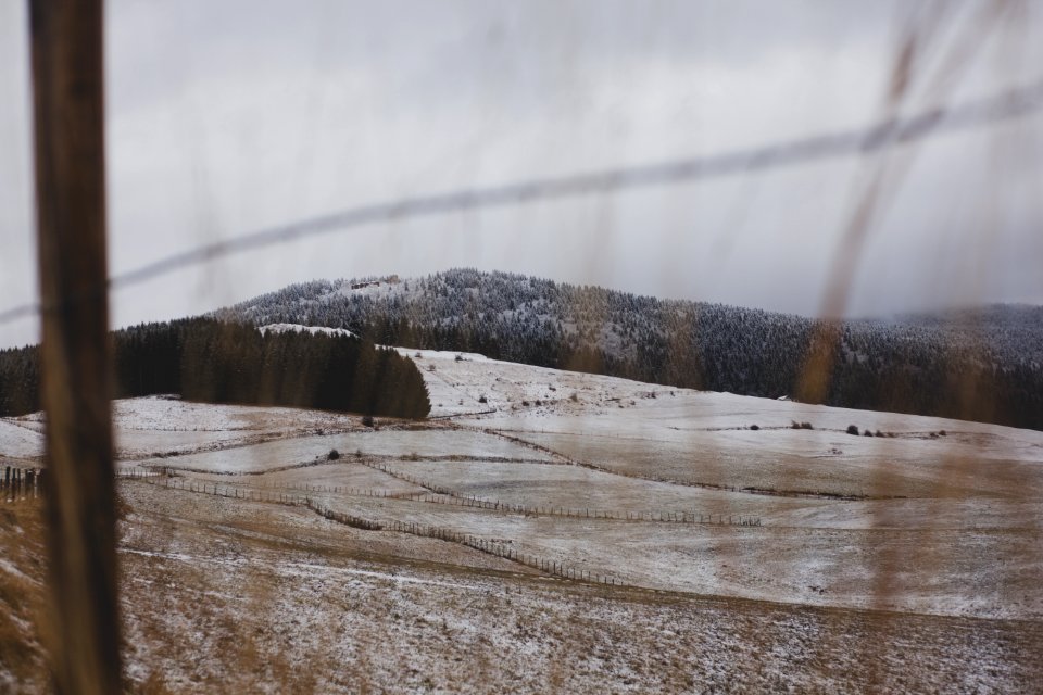 Withered Grass Field At Daytime