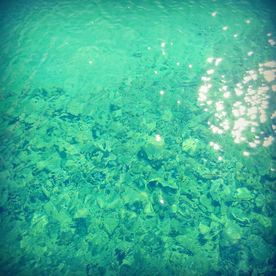 Body Of Water With Shells