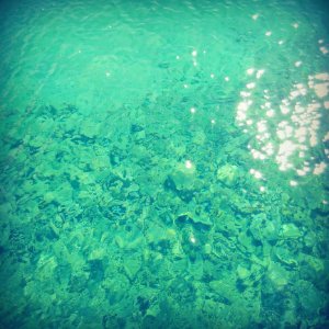 Body Of Water With Shells