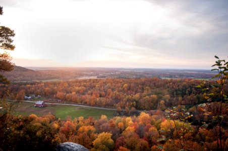 Aerial Photography Of Yellow Leaf Trees Under Nimbus Clouds