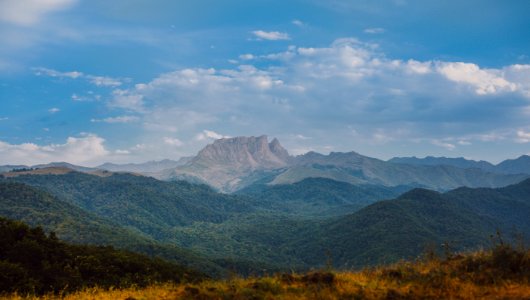 Green Forest With Brown Rock Formation Background