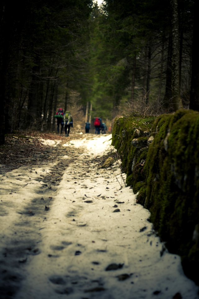 Macro Photography Of Snowy Terrain
