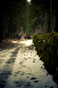 Macro Photography Of Snowy Terrain