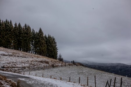 Photo Of Field Near Green Trees photo