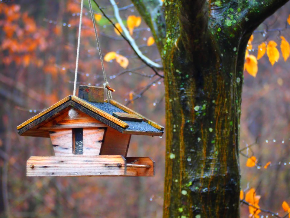 Brown And Blue Wooden Birdhouse