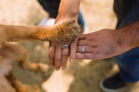 Two Person With Rings On Ring Fingers photo