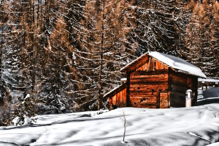 Brown Wooden Cabin In Snowy Landscape Near Forest photo