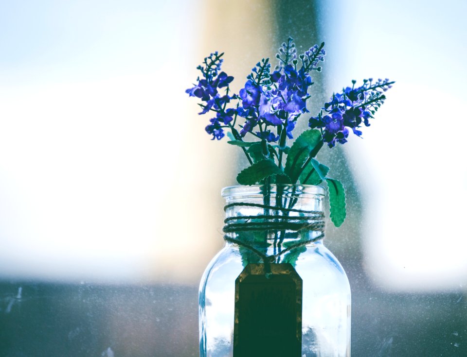 Close-Up Photography Of Purple Flowers In Clear Glass Vase photo