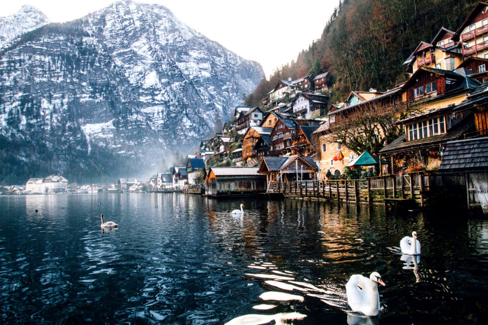 Photo Of Houses Near Body Of Water