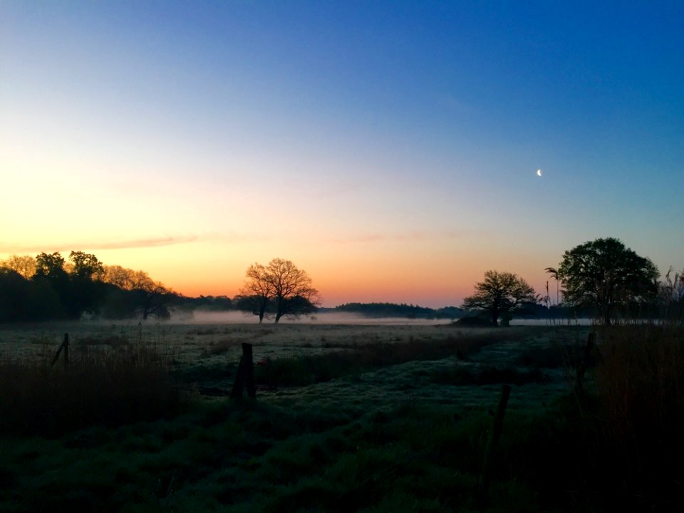 Green Field With Smog During Sunrise