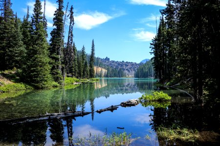 Landscape Photography Of Lake Surrounded By Trees