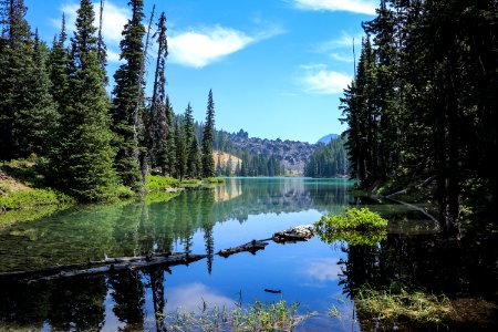 Landscape Photography Of Lake Surrounded By Trees photo