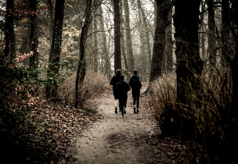 Monochrome Photography Of People Jogging Through The Woods