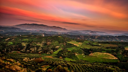 Green Field Photo