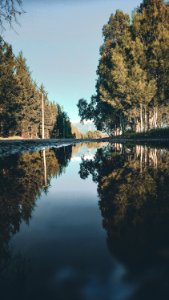 Landscape Photo Of River Between Trees photo