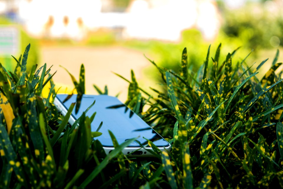 Selective Focus Photography Of Black IPhone Near Plants