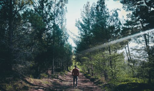 Photo Of Man Walking Along Pathway At Forest photo