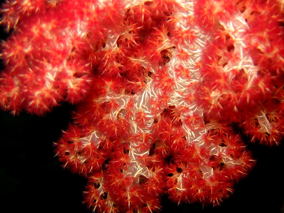 Ocean water underwater