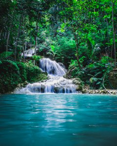 Photography Of Waterfalls Between Trees photo