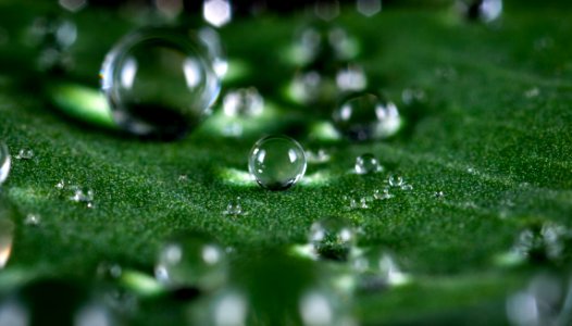 Macro Shot Of Water Droplets photo