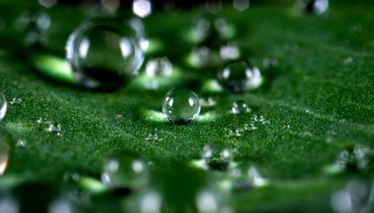 Macro Shot Of Water Droplets