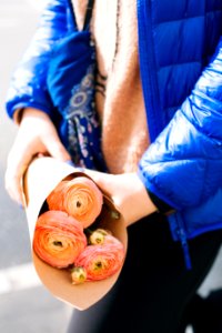 Pink Ranunculus Flower Bouquet On Persons Hand Wearing Blue Zip-up Jacket photo