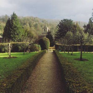 Photograph Of Garden