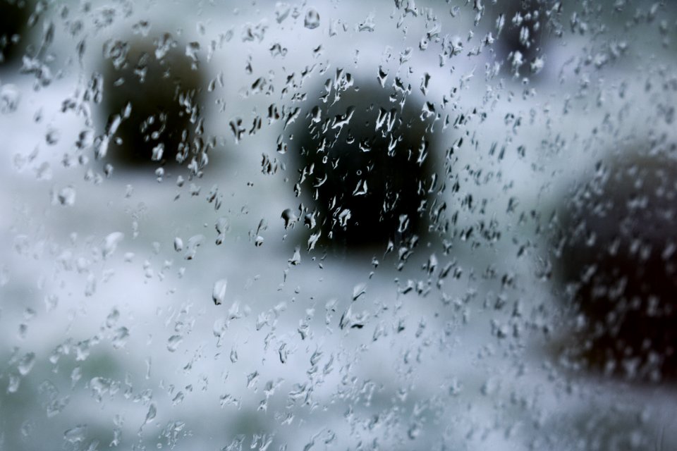 Shallow Focus Photography Of Rain Droplets