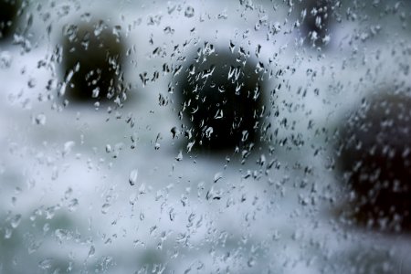 Shallow Focus Photography Of Rain Droplets photo