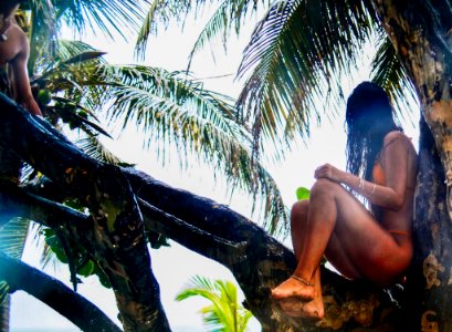 Woman Wearing Orange Bikini Sitting On Tree Branch