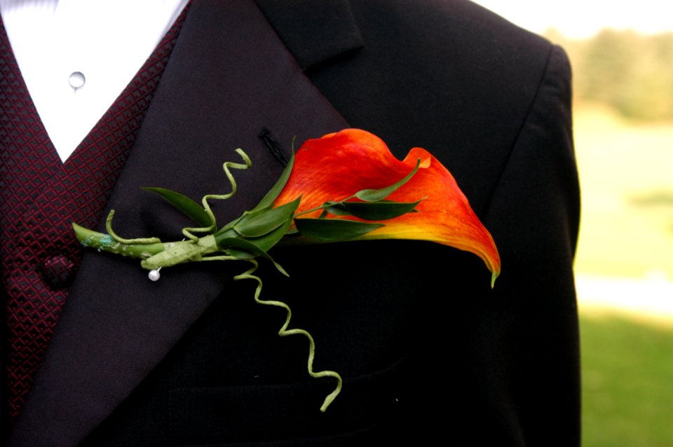 Macro Photography Of Black Formal Dress Coat With Red Flower Design