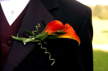 Macro Photography Of Black Formal Dress Coat With Red Flower Design