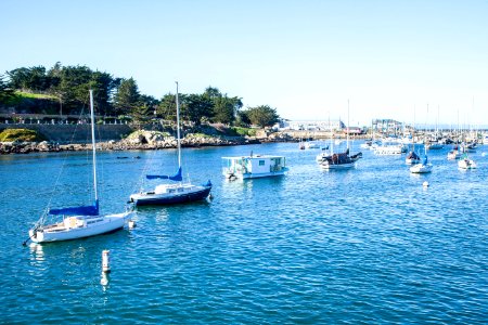 Boats Sailing
