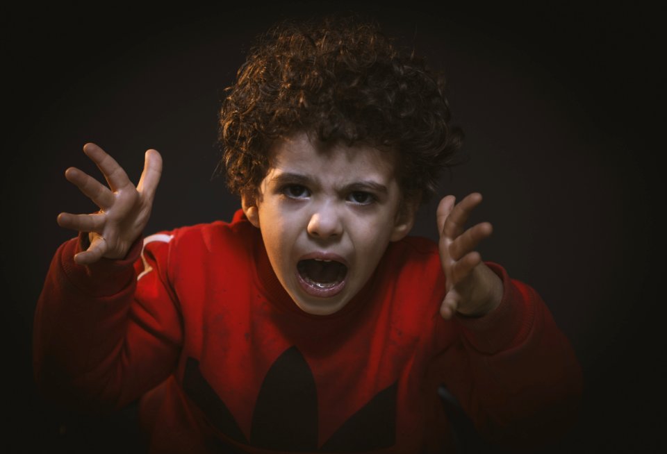 Toddler With Red Adidas Sweat Shirt photo