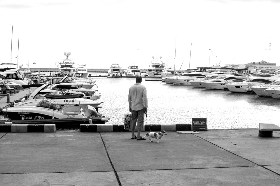 Man Standing On A Concrete Dock Near Body Of Water photo