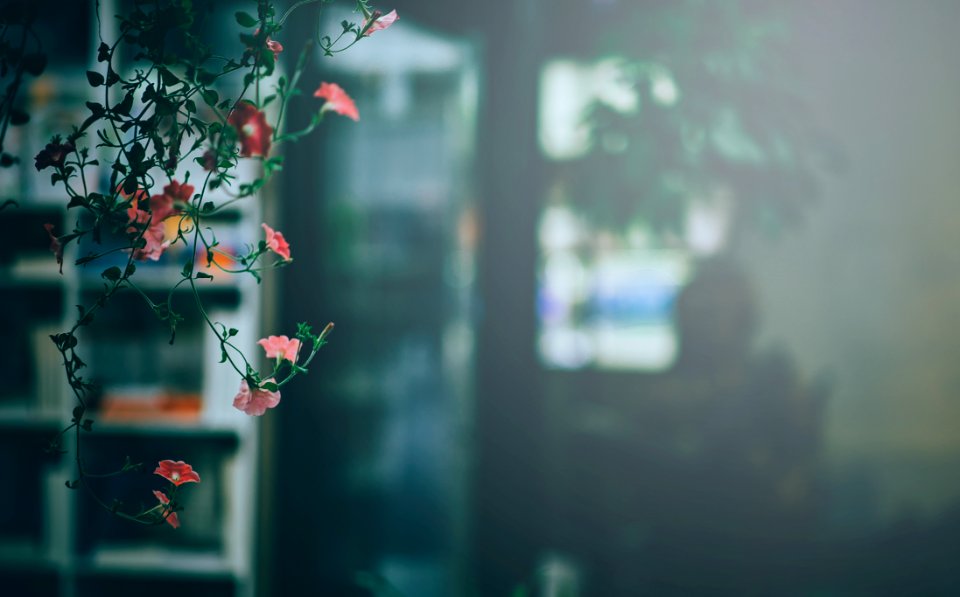 Flowering Plant