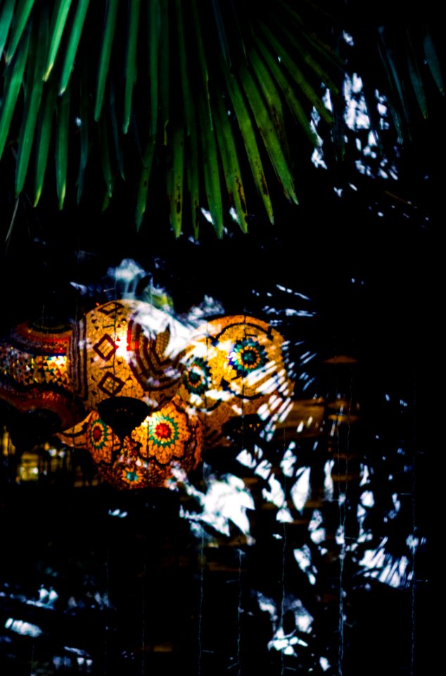 Brown Gourd Lamps
